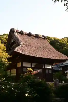 泉福寺(大分県)