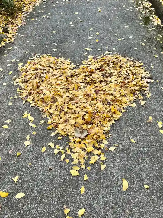 神藏寺(京都府)