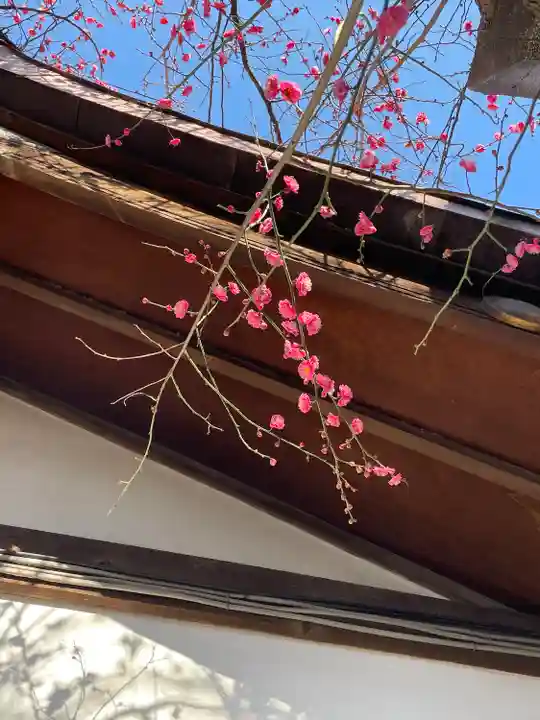 牛天神北野神社のその他建物