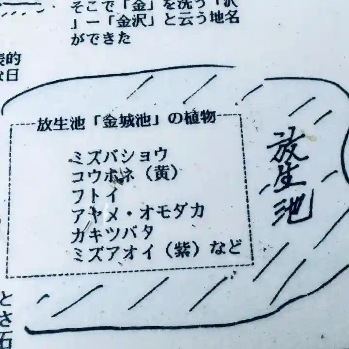 金澤神社(石川県)