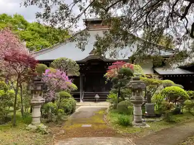 養樹院(圓通庵）(東京都)
