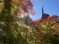 国宝 大法寺(長野県)