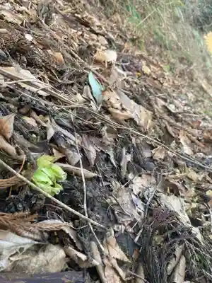 国上寺(新潟県)