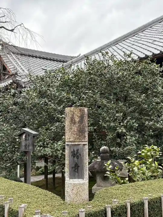 地蔵院(椿寺)(京都府)
