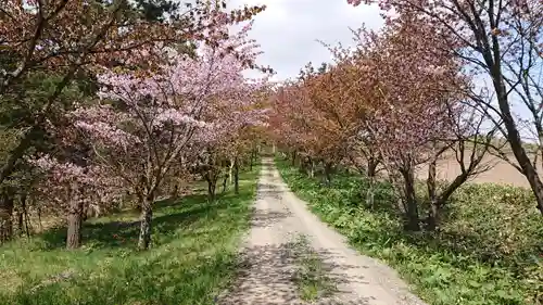 御園神社のその他建物