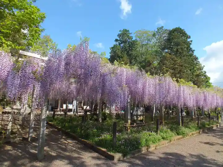 三大神社の自然