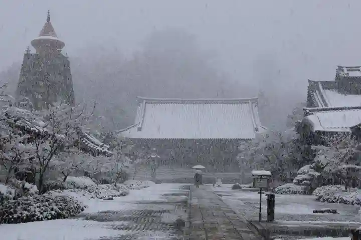 妙満寺(京都府)