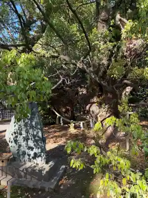 浜松八幡宮の{uncategorized: "未分類", other: "その他", undefined: "問題あり", building: "その他建物", grave: "お墓", sacred_gate: "鳥居", guardian: "狛犬", statue: "像", buddha: "仏像", history: "歴史", nature: "自然", garden: "庭園", animal: "動物", pagoda: "塔", temizu: "手水舎", mountain_gate: "山門・神門", sanctuary: "本殿・本堂", subordinate: "末社・摂社", art: "芸術", scenery: "景色", jizo: "地蔵", ema: "絵馬", goshuin: "御朱印", omikuji: "おみくじ", items: "授与品その他", amulet: "お守り", goshuincho: "御朱印帳", eats: "食事", festival: "お祭り", votive_dance: "神楽", shichigosan: "七五三参", wedding: "結婚式", experience: "体験その他", initially: "初詣", around: "周辺", anti_infection: "感染症対策"}