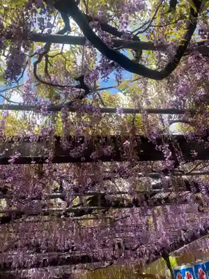 素盞鳴神社の庭園