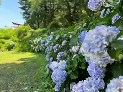 鹿嶋神社(長野県)