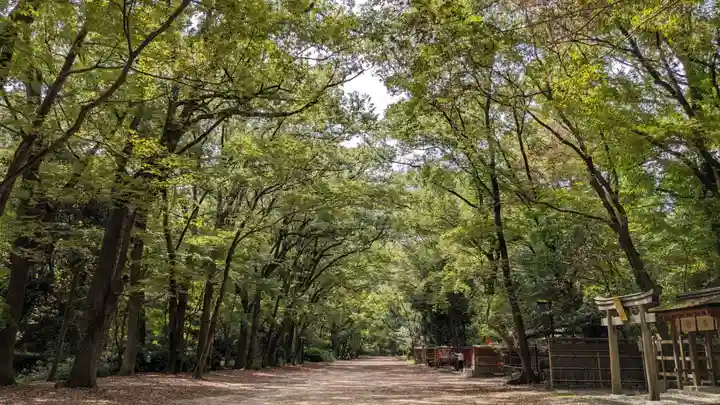 賀茂御祖神社(下鴨神社)の自然