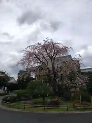 最勝寺(東京都)