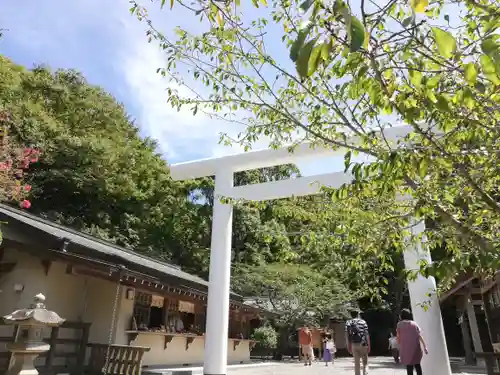 安房神社の鳥居