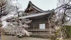 寛永寺(根本中堂)の建物その他