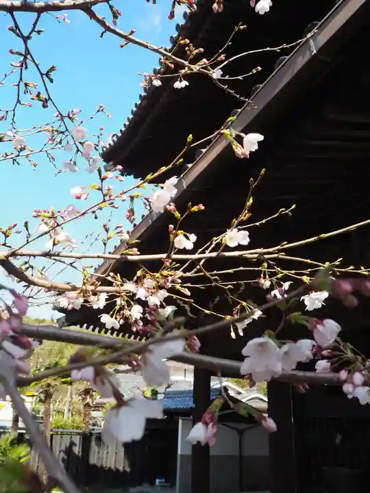 遍照寺法界院の自然