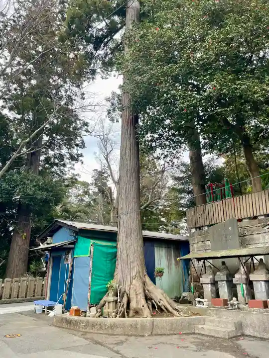 咤枳尼天堂 (出世稲荷)の{uncategorized: "未分類", other: "その他", undefined: "問題あり", building: "その他建物", grave: "お墓", sacred_gate: "鳥居", guardian: "狛犬", statue: "像", buddha: "仏像", history: "歴史", nature: "自然", garden: "庭園", animal: "動物", pagoda: "塔", temizu: "手水舎", mountain_gate: "山門・神門", sanctuary: "本殿・本堂", subordinate: "末社・摂社", art: "芸術", scenery: "景色", jizo: "地蔵", ema: "絵馬", goshuin: "御朱印", omikuji: "おみくじ", items: "授与品その他", amulet: "お守り", goshuincho: "御朱印帳", eats: "食事", festival: "お祭り", votive_dance: "神楽", shichigosan: "七五三参", wedding: "結婚式", experience: "体験その他", initially: "初詣", around: "周辺", anti_infection: "感染症対策"}