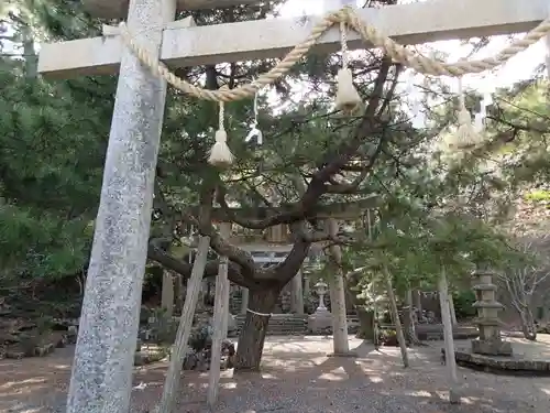 那祖師神社の鳥居