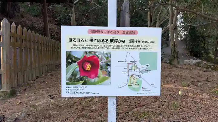 湯釜薬師の歴史