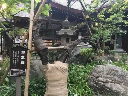 愛宕神社の自然