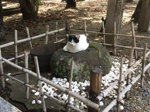 鎌数伊勢大神宮(千葉県)