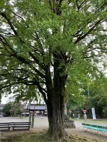 大光院 新田寺の自然