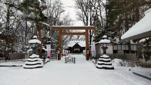 旭川神社の鳥居