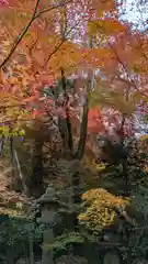 鍬山神社(京都府)