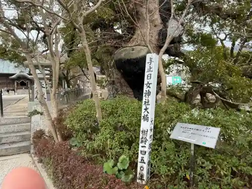 與止日女神社の{uncategorized: "未分類", other: "その他", undefined: "問題あり", building: "その他建物", grave: "お墓", sacred_gate: "鳥居", guardian: "狛犬", statue: "像", buddha: "仏像", history: "歴史", nature: "自然", garden: "庭園", animal: "動物", pagoda: "塔", temizu: "手水舎", mountain_gate: "山門・神門", sanctuary: "本殿・本堂", subordinate: "末社・摂社", art: "芸術", scenery: "景色", jizo: "地蔵", ema: "絵馬", goshuin: "御朱印", omikuji: "おみくじ", items: "授与品その他", amulet: "お守り", goshuincho: "御朱印帳", eats: "食事", festival: "お祭り", votive_dance: "神楽", shichigosan: "七五三参", wedding: "結婚式", experience: "体験その他", initially: "初詣", around: "周辺", anti_infection: "感染症対策"}