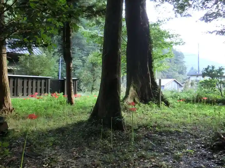 水屋神社の自然
