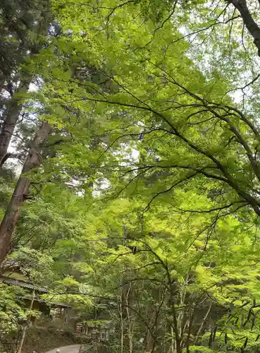 花園神社(茨城県)