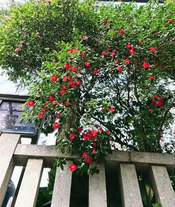 金王八幡宮の自然