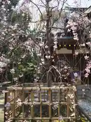 新田神社の自然