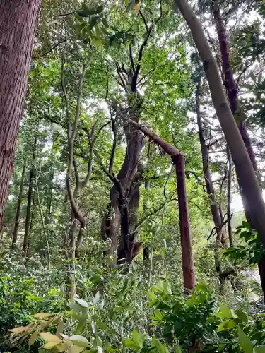 祓戸神社(新潟県)