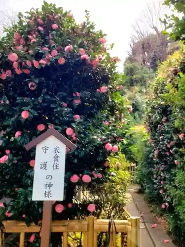 白金氷川神社(東京都)