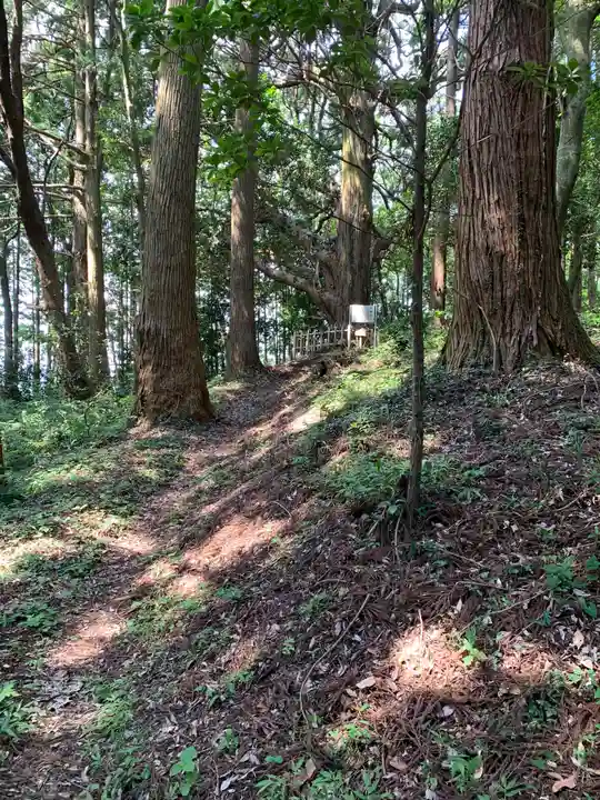 武生神社(茨城県)