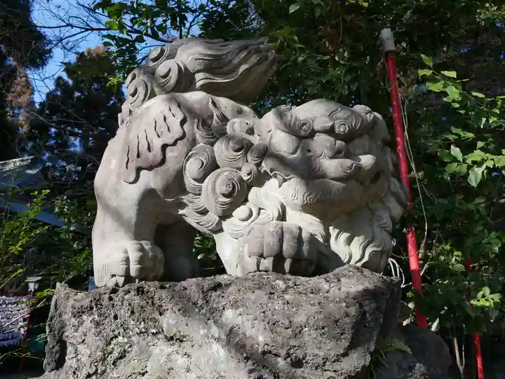 渋川八幡宮の狛犬