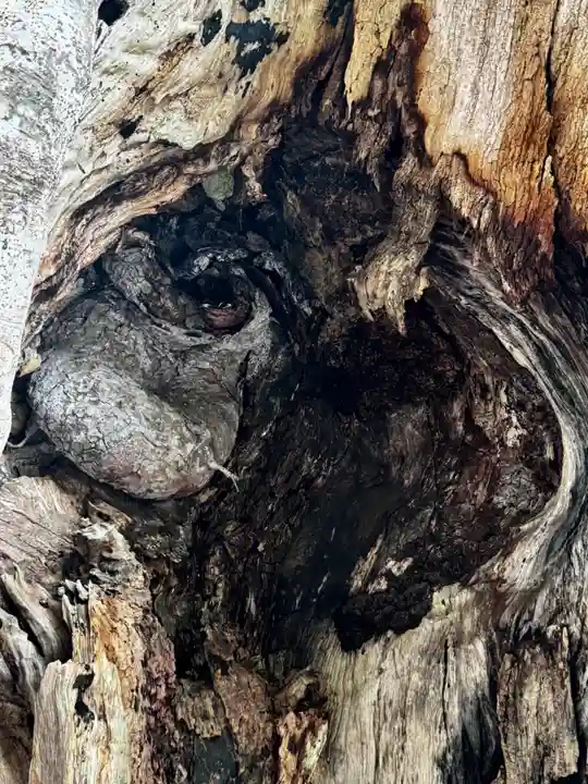 金華山黄金山神社(宮城県)