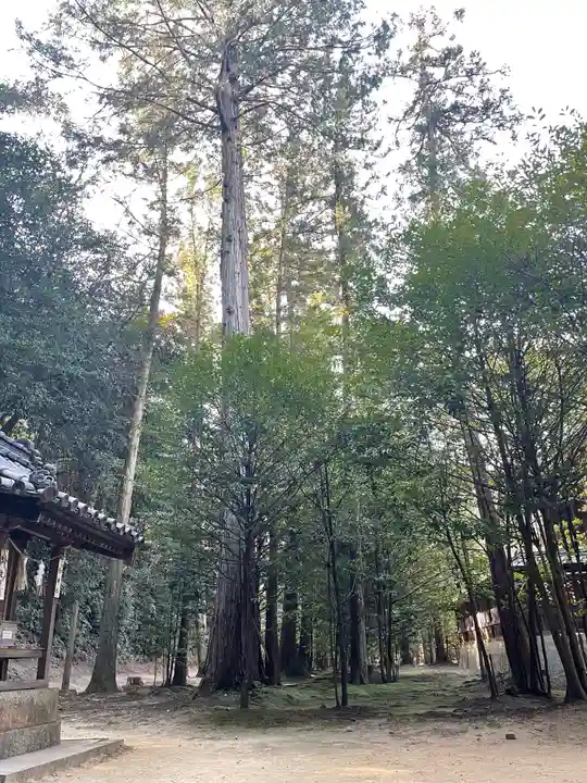 安仁神社のその他建物
