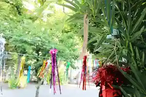 くまくま神社(導きの社 熊野町熊野神社)のお祭り(2021年06月16日(水) 20時24分16秒投稿)