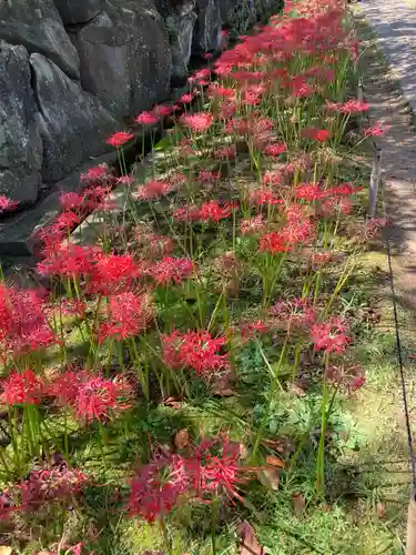 横浜　西方寺(神奈川県)