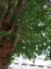 愛宕神社の庭園