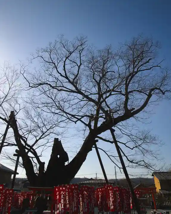 秩父今宮神社(埼玉県)