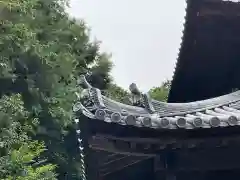 西寿寺(京都府)