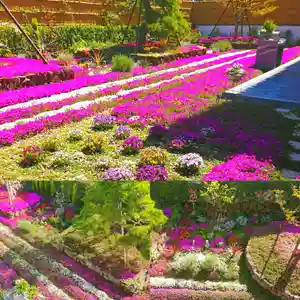 寿量山 速成寺(奈良県)(2021年04月07日(水) 18時37分30秒投稿)