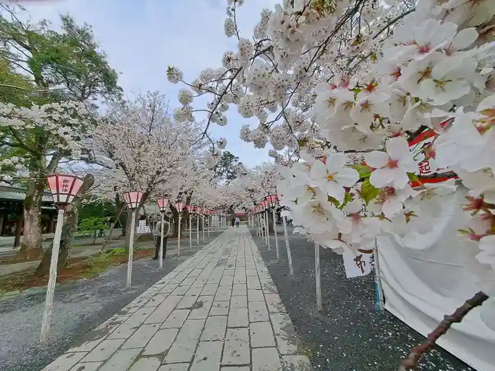 三嶋大社(静岡県)