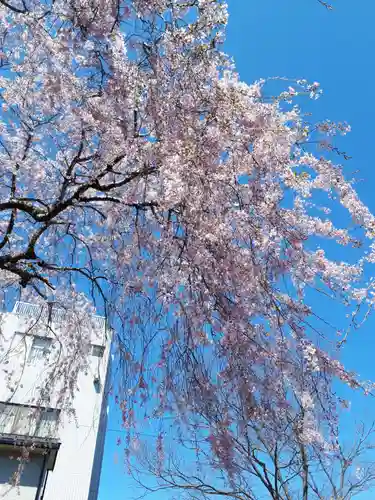御釜神社の自然