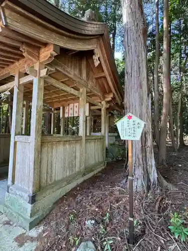 大麻比古神社(徳島県)