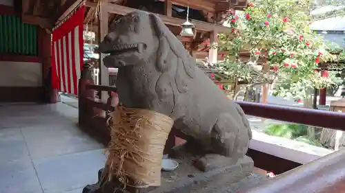 越ヶ谷久伊豆神社の狛犬