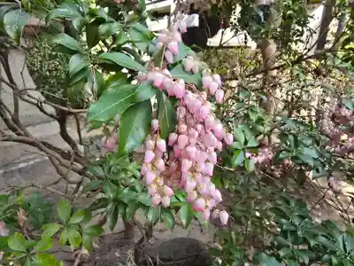 意賀美神社(大阪府)