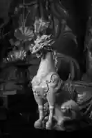 五百羅漢寺(東京都)